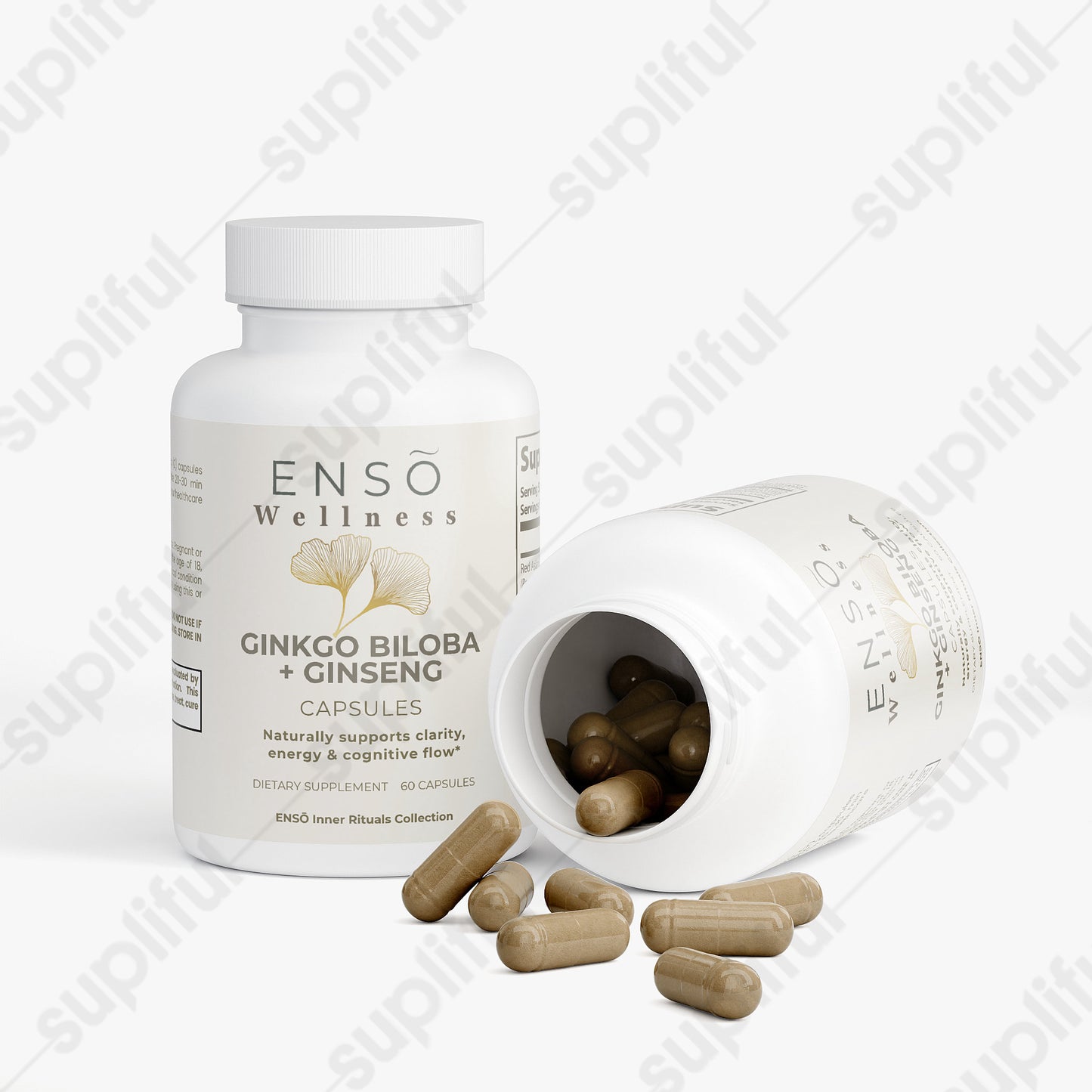 Ginkgo Biloba + Ginseng