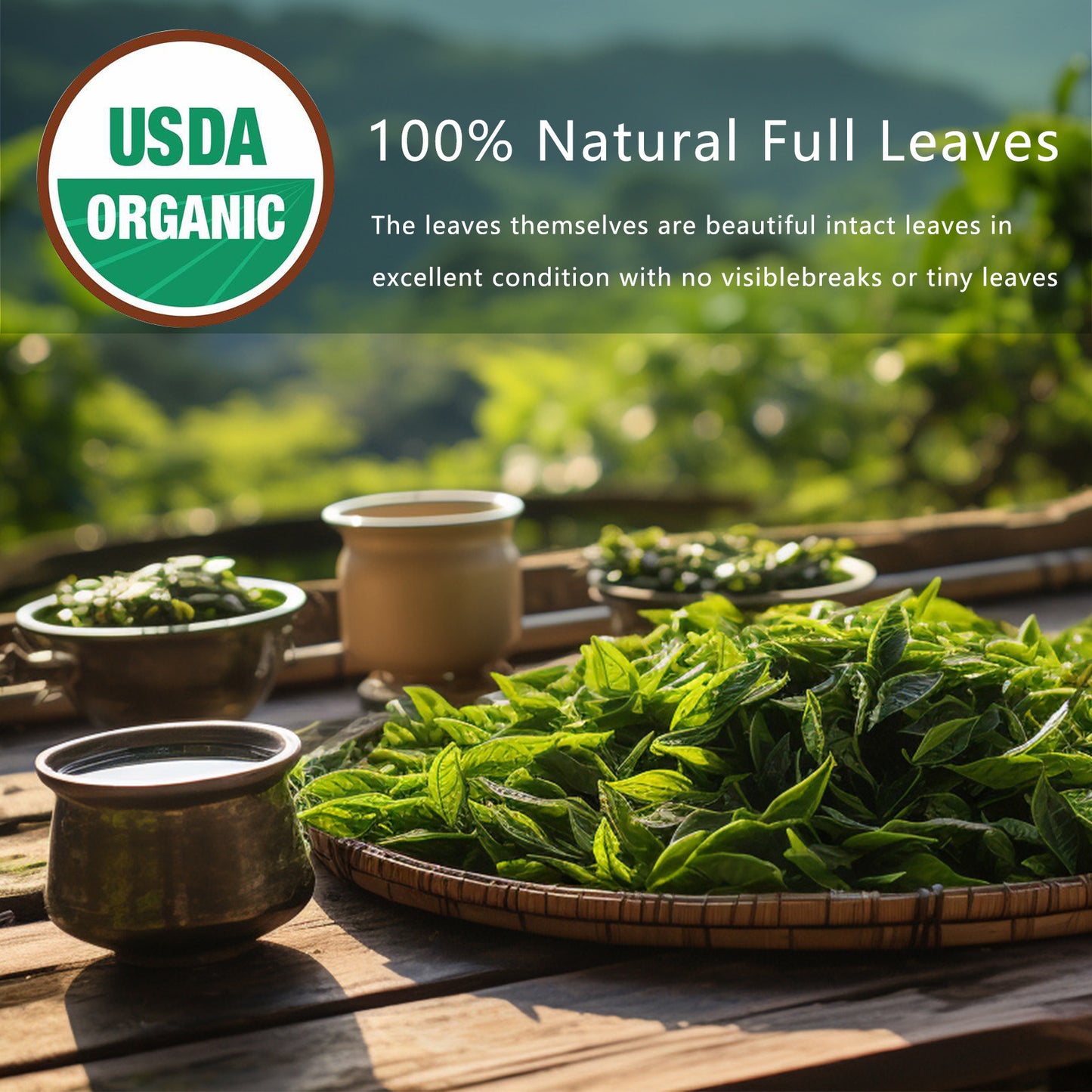 Natural Herbal Immune Boost Detox Cleanse Oolong Tea Bags